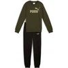 Puma Sportinis Kostiumas Paaugliams Ess No.1 Logo Crew Sweat Fl Žalias Juodas 689721 70