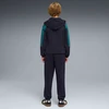 Puma Sportinis Kostiumas Paaugliams Ess Block Hooded Full-Zip Navy Mėlyna Žalias 693334 16