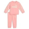 Puma Sportinis Kostiumas Vaikams Ess No. 1 Logo Sweat Suit Rožinė 686284 18