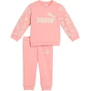 Puma Sportinis Kostiumas Vaikams Ess No. 1 Logo Sweat Suit Rožinė 686284 18