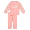 Puma Sportinis Kostiumas Vaikams Ess No. 1 Logo Sweat Suit Rožinė 686284 18