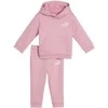 Puma Sportinis Kostiumas Vaikams Minicats Loungewear Fl Rožinė 686282 65