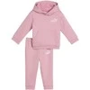 Puma Sportinis Kostiumas Vaikams Minicats Loungewear Fl Rožinė 686282 65