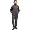 Puma Sportinis Kostiumas Vyrams Ess Sweat Suit Fl Pilkas 688175 34