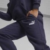 Puma Sportinis Kostiumas Vyrams Feel Good Hooded Mėlyna 676836 06