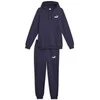 Puma Sportinis Kostiumas Vyrams Feel Good Hooded Mėlyna 676836 06