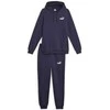 Puma Sportinis Kostiumas Vyrams Feel Good Hooded Mėlyna 676836 06
