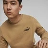 Puma Sportinis Kostiumas Vyrams Feel Good Sweat Brown 670032 85