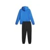 Puma Sportinis Kostiumas Vyrams Fz Panel Tracksuit Juodas Mėlyna 675022 47
