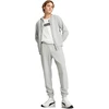 Puma Sportinis Kostiumas Vyrams Hooded Sweat Suit Tr Pilkas 684855 04