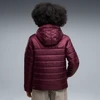 Puma Striukė Moterims Ess Hooded Padded Bordo 685231 24