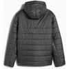 Puma Striukė Vyrams Ess Hooded Padded Pilkas 685211 44