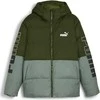 Puma Striukė Vyrams Power Hooded Žalias 675389 31