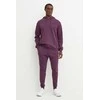 Reebok Kelnės Vyrams Identity Small Logo Fleece Plum 100206013