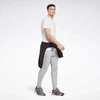 Reebok Marškinėliai Vyrams Identity Small Logo Plum 100206078