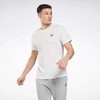 Reebok Marškinėliai Vyrams Identity Small Logo Plum 100206078