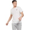 Reebok Marškinėliai Vyrams Identity Small Logo Plum 100206078