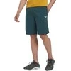 Reebok Šortai Vyrams Ri Left Leg Logo Short Žalias HM5349