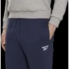 Reebok Šortai Vyrams Ri Left Leg Logo Short Mėlyna HM5348