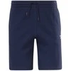 Reebok Šortai Vyrams Ri Left Leg Logo Short Mėlyna HM5348