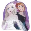 Kepurė Mergaitėms Disney Frozen 2 Lilac FR-A-HAT-369-2