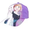 Kepurė Mergaitėms Disney Frozen 2 Lilac FR-A-HAT-369-2