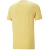 Puma Marškinėliai Vyrams Graphics Summer Tee Geltona 674482 40