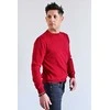 Viadi Polo Megztinis Vyrams Raudona 100/COLOR/59