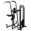 Universalus prisitraukimų treniruoklis Body Solid FCD-STK