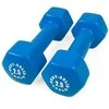 Body Solid Viniliniai hanteliai 2.5kg BODYSOLID Vinyl Dumbbells
