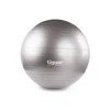 Gimnastikos kamuolys TIGUAR Safety Plus, 65cm