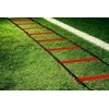 Greičio kopetėlės GYMSTICK Speed Ladder
