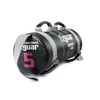 Jėgos maišas TIGUAR Power Bag, 5kg