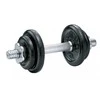 Ketaus svarmuo / hantelis SPORTBAY 10 kg