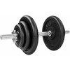 Ketaus svarmuo / hantelis SPORTBAY 20 kg