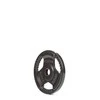 None Ketaus svarmenys GYMSTICK 1,25-20kg (Svoris: 10 kg)