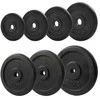 Ketaus svarmenys SPORTBAY 1.25-20kg (30mm) (Svoris: 5kg)