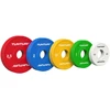 None Olimpiniai svarmenys TUNTURI Platinum Fractional Plates 0,5–2,5kg (Svoris: 2 x 2kg)