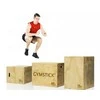 Platforma GYMSTICK Medinė Plyobox
