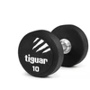 Profesionalus PU svarmuo / hantelis TIGUAR 1–70 kg (Svoris: 10 kg)