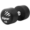 Profesionalus PU svarmuo / hantelis TIGUAR 1–70 kg (Svoris: 45 kg)