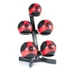 Stovas kamuoliams / giroms GYMSTICK