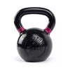 Svarstis Tiguar RAW 24kg V2