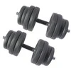 Hantelių rinkinys SPORTBAY 2 x 15 kg