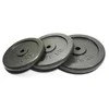 Ketaus svarmenys SPORTBAY 1.25-20kg (30mm) (Svoris: 5kg)