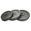 Ketaus svarmenys SPORTBAY 1.25-20kg (30mm) (Svoris: 15 kg)