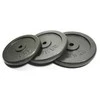 Ketaus svarmenys SPORTBAY 1.25-20kg (30mm) (Svoris: 10 kg)