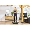 Vibro treniruoklis TUNTURI Cardio Fit V20