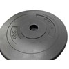 Viniliniai svarmenys SPORTBAY 1.25 - 15kg (Svoris: 10 kg)