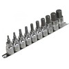 ASTA LIZDO RINKINYS 1/2 "HEX 10el.